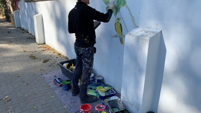 OŚWIĘCIM. Ptasie murale na murach cmentarza żydowskiego