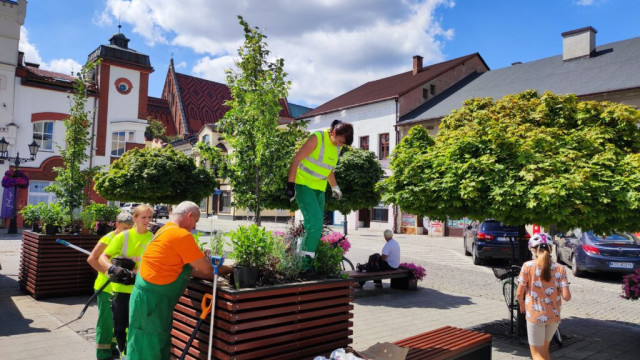 Oświęcim. Rynek bardziej zielony