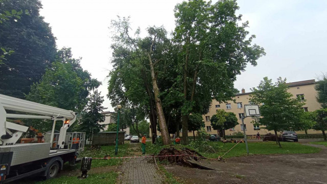 OŚWIĘCIM. Sprzątanie po nocnej nawałnicy nad miastem