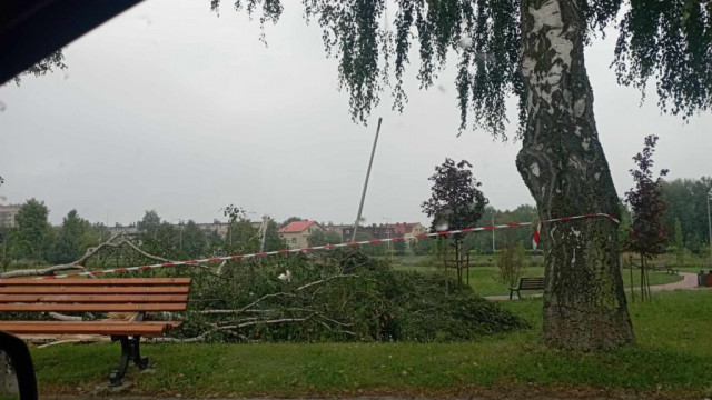 Oświęcim. Trwa sprzątanie po nocnej nawałnicy