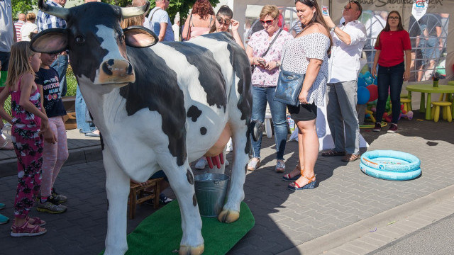 OŚWIĘCIM. Tysiące ludzi na Ekomajówce