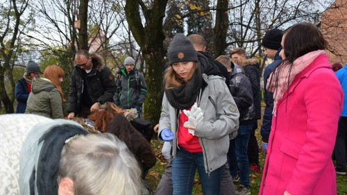 OŚWIĘCIM. Żółte krokusy upamiętnią najmłodsze ofiary niemieckiego obłędu