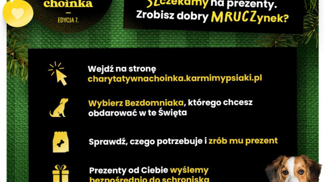 Oświęcimskie schronisko w akcji Charytatywna Choinka od Karmimy Psiaki