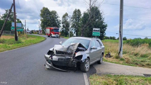 Pijani za kółkiem. Zatrzymani przez słup, świadków i policjantów – FOTO