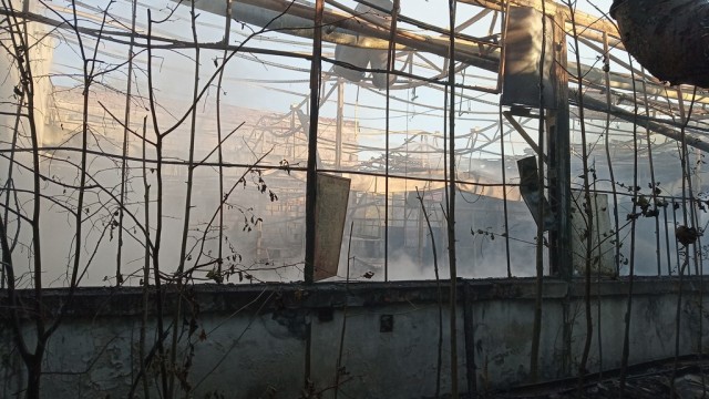 Płonęły opuszczone hale. Dym było widać z daleka – FOTO