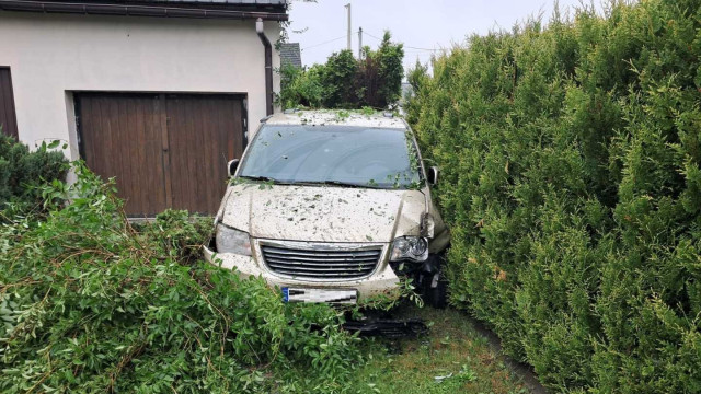 Po pijanemu wjechał w krzewy i wziął nogi za pas – FOTO