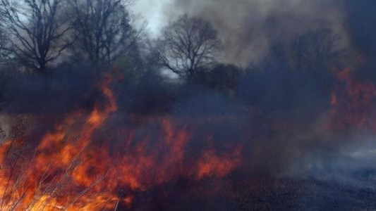 Podpalacz trawy zatrzymany dzięki mieszkańcowi Kęt