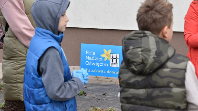 Pola Nadziei w Oświęcimiu – Mieszkańcy Wspierają Hospicjum Sadzeniem Żonkili - InfoBrzeszcze.pl