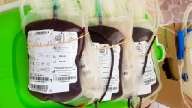 Ponad 22 litry krwi oddano podczas niedzielnej akcji
