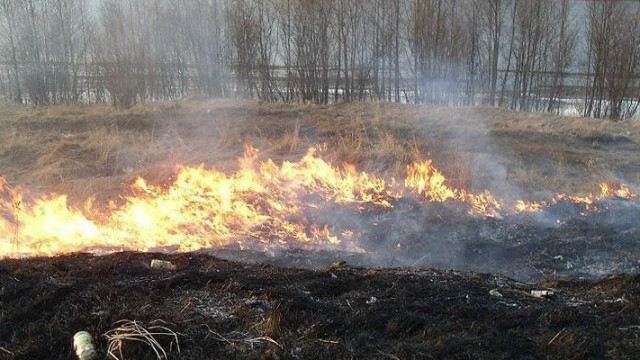 Powiat -7 dni i 36 pożarów. Strażacy apelują: nie wypalajmy traw!