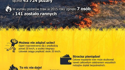 POWIAT. Proceder wypalania traw niczym walka z wiatrakami. Strażacy apelują, a podpalacze i tak robią swoje