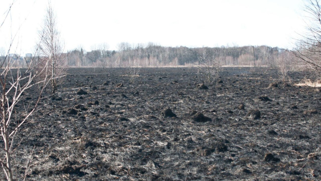 POWIAT. Strażacy apelują o rozsądek. A trawy jak płonęły, tak płoną na wiosnę