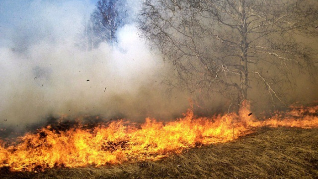 POWIAT. Znów nielegalnie wypalają trawę