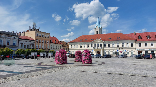 PUBLICYSTYKA. „Rynek to nie skwer” czyli drzew (na razie) nie będzie na rynku