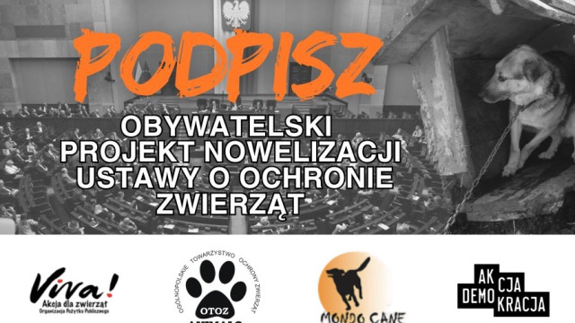 Rewolucyjne zmiany w ochronie zwierząt! Oświęcim zbiera podpisy – pomóż wprowadzić nowe prawa!