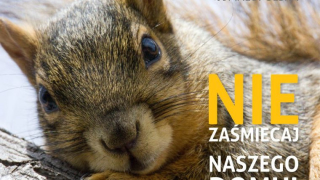 Ryś, wydra i wiewiórka twarzami kampanii „Nie zaśmiecaj naszego domu”