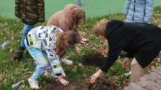 Sadzenie drzew jako sposób na walkę ze zmianami klimatu – FOTO