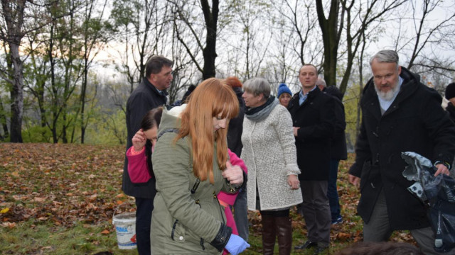 Sadzili żółte krokusy, by upamiętnić dzieci ofiary Holocaustu i II wojny światowej