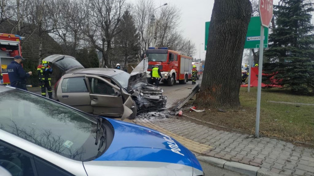 Senior uderzył samochodem w drzewo – FOTO