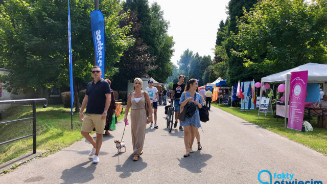 Słoneczny Piknik Organizacji Pozarządowych – FILM, FOTO