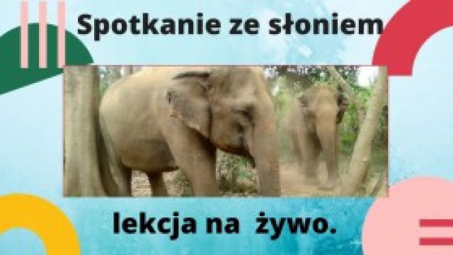 Spotkanie ze słoniem
