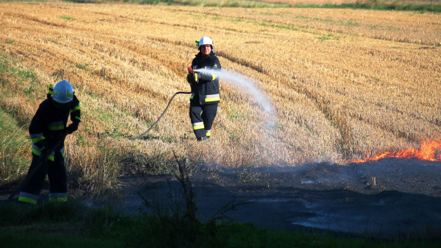Strażacy gasili pożary ścierniska, traw i nieużytków. ZDJĘCIA!