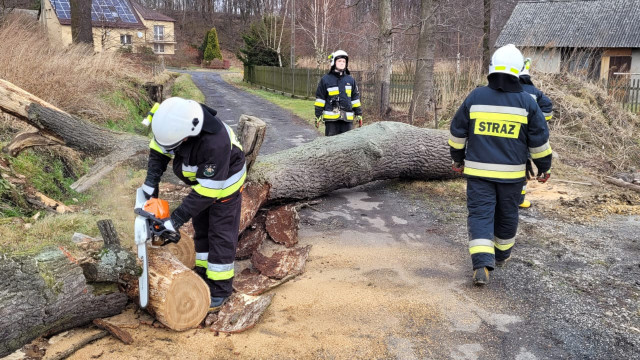 Strażacy usuwali skutki silnego wiatru w powiecie oświęcimskim – ZDJĘCIA!