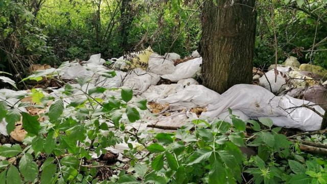 Strażnicy miejscy odnaleźli leśnego śmieciarza