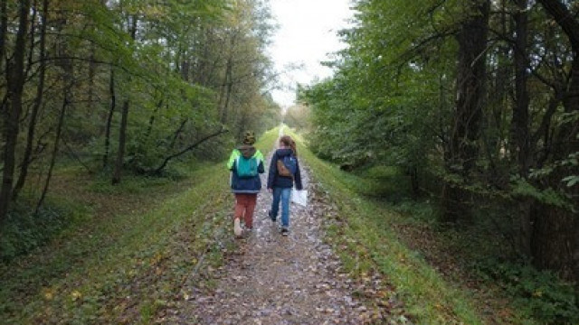 Szkolny Orienteering