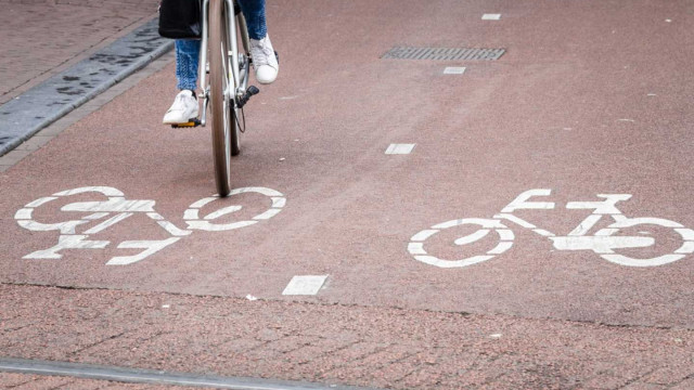 Towarzystwo na rzecz Ziemi o chaosie w oznakowaniu tras rowerowych
