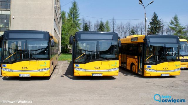 Wakacyjny rozkład jazdy. Zwróć uwagę na ceny biletów