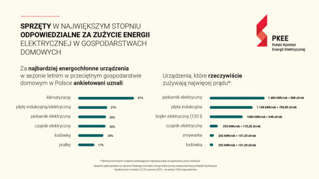 Wyniki badania IBRiS: Polakom tylko się wydaje, że wiedzą, które urządzenia w ich domu zużywają najwięcej prądu