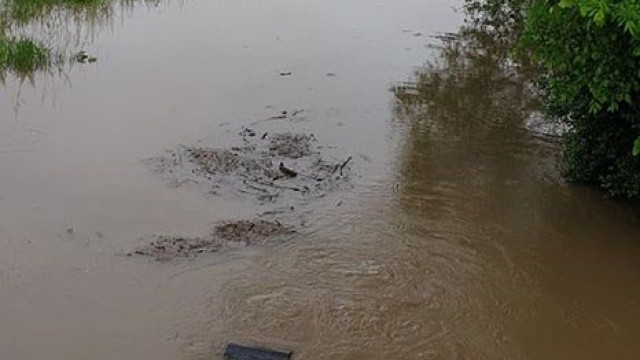 Wzrost poziomu wody na rzece Wisła - InfoBrzeszcze.pl