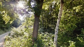 Zaginiona  60-letnia mieszkanka Witkowic  została odnaleziona w lesie