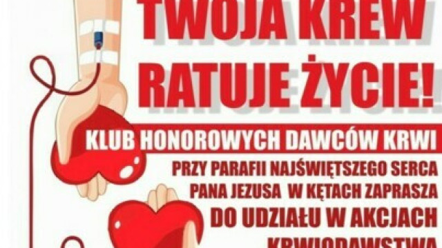Zbiórka krwi parafialnego Klubu HDK
