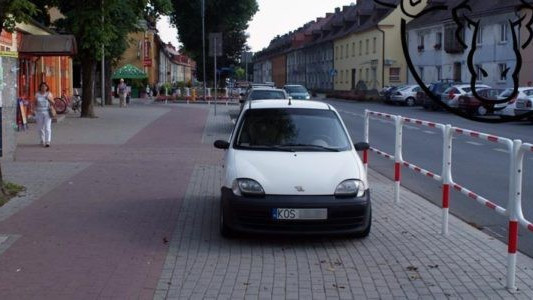 Zmasowany atak Karnych Łosi – FOTO