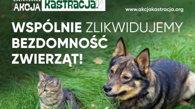 ZWIERZowa Akcja Kastracja