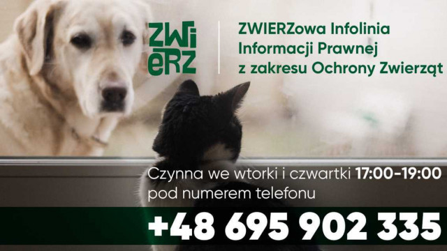 ZWIERZowa Infolinia Bezpłatnej Informacji Prawnej