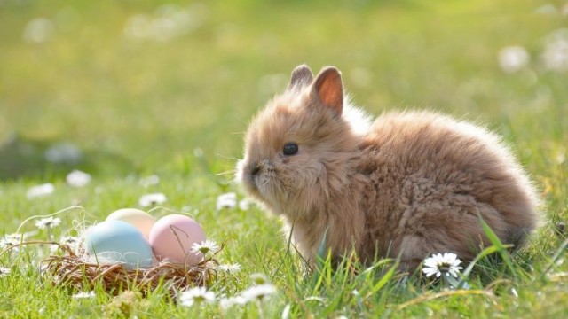 Życzenia wielkanocne dla mieszkańców od władz Powiatu Oświęcimskiego